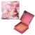 Coral Dreams